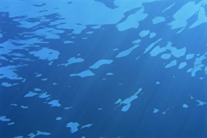 Underwater shot of sun and light from below on Similan Island