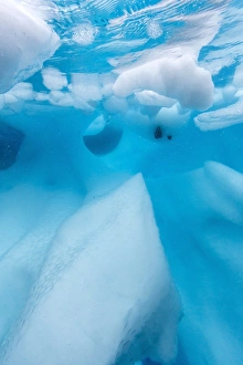 Underwater view of glacial ice in Orne Harbor, Antarctica, Polar Regions