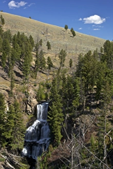 Undine Falls, near Mammoth Hot Springs, Yellowstone National Park, UNESCO World Heritage Site, Wyoming, United States of America, North America