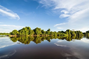 Brazil Prints: Unesco world heritage, Pantanal, Brazil