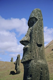 Stone Carving Prints: Unfinished heads on outer south slopes of the crater, Rano Raraku, Easter Island, Chile