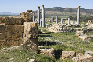 Images Dated 23rd March 2008: Unidentified temple, Roman ruin of Thuburbo Majus, Tunisia, North Africa, Africa