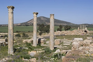 Images Dated 23rd March 2008: Unidentified temple, Roman ruin of Thuburbo Majus, Tunisia, North Africa, Africa