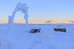 Log Cabin Prints: Uninhabited house in the wilds of Swedish Lapland, Riskgransen, Norbottens Ian, Lapland