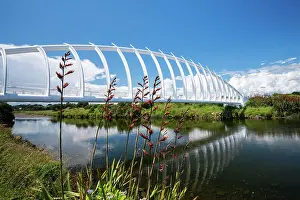 Connections Prints: Unique architecture of Te Rewa Rewa Bridge in New Plymouth