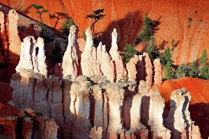 Hoodoos Prints: Unique rock formations rise in Bryce Canyon during daylight hours in Utah, USA