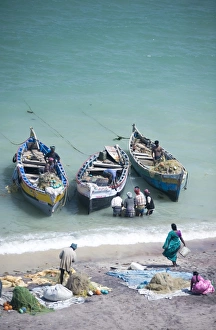 Images Dated 29th April 2008: Unloading the mornings catch of fish, Dhanushkodi, Tamil Nadu, India, Asia