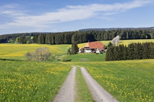 Black Forest Prints: Unterfallengrundhof (farmhouse) in spring, Guetenbach, Black Forest, Baden Wurttemberg
