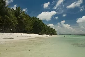 Images Dated 16th April 2009: Untouched beach, Havelock Island, Andaman Islands, India, Indian Ocean, Asia