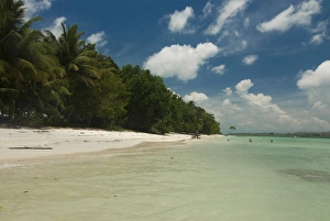 Images Dated 16th April 2009: Untouched beach, Havelock Island, Andaman Islands, India, Indian Ocean, Asia