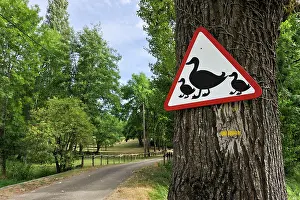 Walkways Prints: Unusual road sign warns drivers of family of ducks crossing near a pathway in the Lot department of France