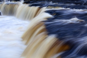 Wensleydale Prints: Upper Aysgarth Falls, Wensleydale, North Yorkshire, England, United Kingdom, Europe