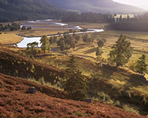Aberdeenshire Prints: Upper Dee valley near Inverey