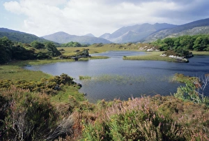 Kerry Prints: Upper Lake and Macgillycuddys Reeks