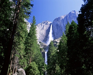 Waterfalls Prints: Upper and Lower Yosemite Falls