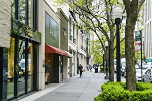 Pavements Prints: Upscale shopping street, Chicago, Illinois, United States of America, North America