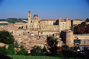 Roof Top Prints: Urbino, Marche