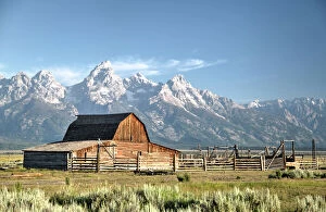 Rural Scenes Gallery: USA, Wyoming, Grand Teton National Park, Mormon Row, dates from 1890s, John Moulton Homestead, Barn