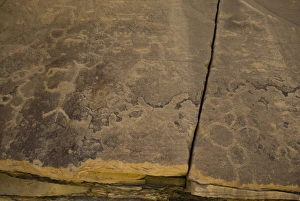 Petroglyph Prints: Ute Mountain Tribal Park
