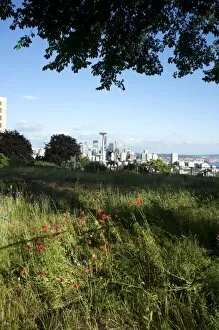 Images Dated 5th July 2010: Vacant lot across the street from Kerry Park, Seattles best destination to view the skyline