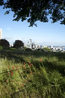 Seattle Prints: Vacant lot across the street from Kerry Park