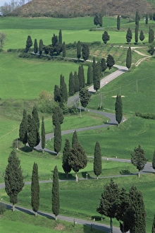Val Dorcia Prints: Val d Orcia