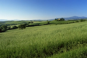 Val Dorcia Prints: Val d Orcia (Orcia Valley)