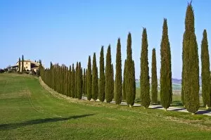 Images Dated 28th April 2011: Val d Orcia, Siena Province, Siena, Tuscany, Italy, Europe