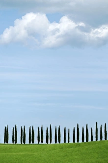 Order Prints: Val D Orcia, UNESCO World Heritage Site, Tuscany, Italy, Europe