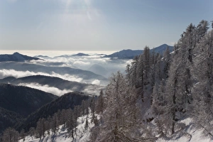 Images Dated 9th January 2009: Val Vigezzo (Vigezzo Valley), Piedmont Region, Italy, Europe