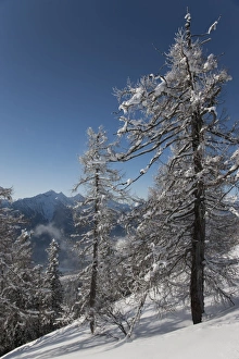 Images Dated 9th January 2009: Val Vigezzo (Vigezzo Valley), Piedmont Region, Italy, Europe