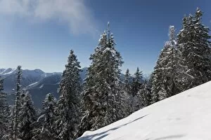 Images Dated 9th January 2009: Val Vigezzo (Vigezzo Valley), Piedmont Region, Italy, Europe