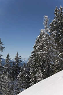 Images Dated 9th January 2009: Val Vigezzo (Vigezzo Valley), Piedmont Region, Italy, Europe