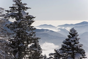 Images Dated 9th January 2009: Val Vigezzo (Vigezzo Valley), Piedmont Region, Italy, Europe