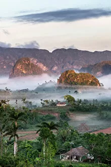 Search Results: Val de Vinales, UNESCO World Heritage Site, early morning mist, Vinales, Cuba, West Indies