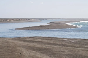 Images Dated 7th March 2009: Valdes Peninsula, Patagonia, Argentina, South America