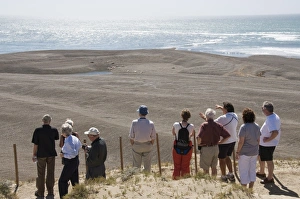 Images Dated 7th March 2009: Valdes Peninsula, Patagonia, Argentina, South America