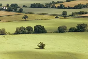 Farming Collection: The Vale of Evesham from the main ridge of the Malvern Hills, Worcestershire