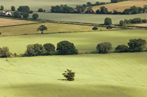 Farming Prints: The Vale of Evesham from the main ridge of the Malvern Hills, Worcestershire