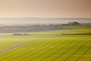 Stripe Prints: The Vale of Pewsey at first light, Wiltshire, England, United Kingdom, Europe