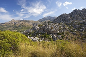 Images Dated 8th September 2009: Vall de Son March, northern Majorca, Balearic Islands, Spain, Europe
