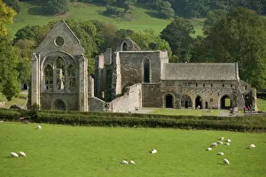 Abbey Prints: Valle Crucis Abbey, Llantisilio, Llangollen, Denbighshire, Wales, United Kingdom, Europe