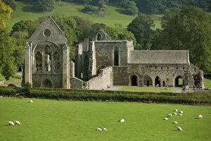 Images Dated 10th October 2010: Valle Crucis Abbey, Llantisilio, Llangollen, Denbighshire, Wales, United Kingdom, Europe