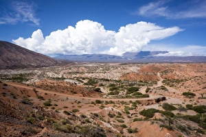 Valle Tin Tin, Los Cardones Park, Argentina, South America