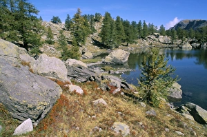 Alpes Maritime Prints: Vallee de Fontanalba, Pays des Merveilles, Mercantour National Park, Alpes Maritimes