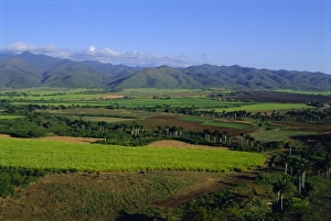 Cultivate Prints: Vallee de San Luis, Trinidad, Cuba, West Indies, Central America