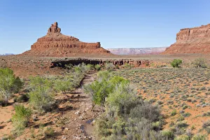 Valley of the Gods, Bears Ears National Monument, Utah, United States of America