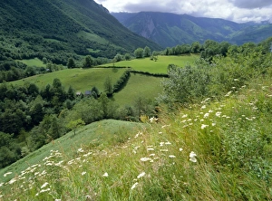 Bearn Prints: Valley of the River Berthe near Accous, Bearn, Pyrenees, Aquitaine, France, Europe