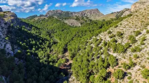 Mountainous Prints: Valleys and greenery surrounding Murta beach on Formentor peninsula showcase the natural beauty of Mallorca