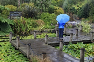 VanDusen Gardens, Vancouver, British Columbia, Canada, North America